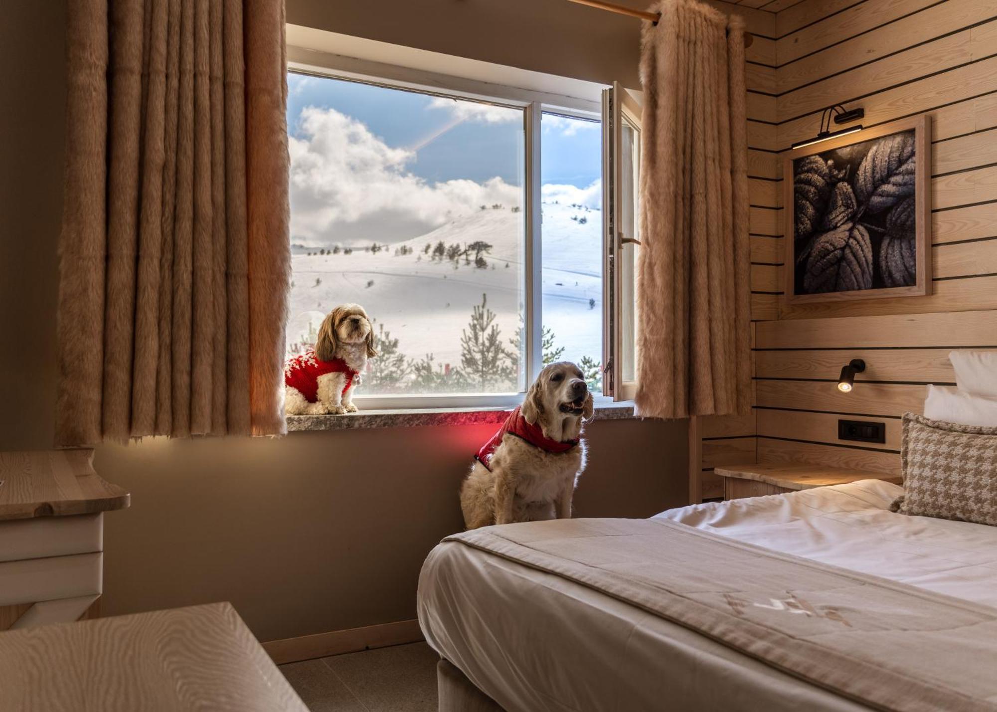 Kartal Hotel Kartalkaya Luaran gambar